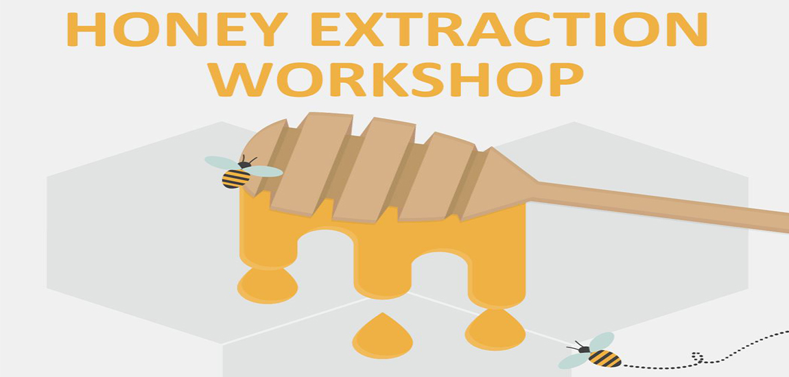 Honey Extraction CEGEP Champlain St. Lawrence